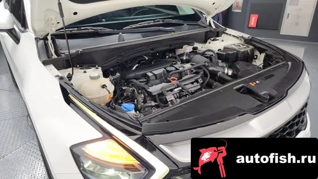 Kia Sportage Sportage 5th Generation 2022 года - вид 6