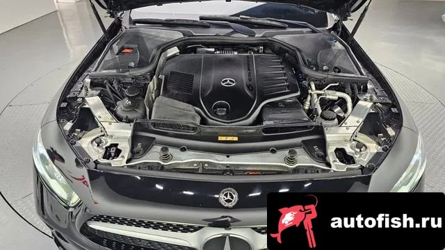 Mercedes-Benz CLS-Class CLS-Class C257 2021 года - вид 6