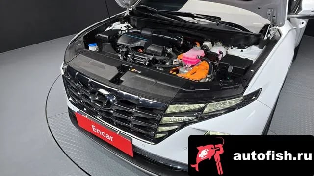 Hyundai Tucson Tucson Hybrid (NX4) 2023 года - вид 6