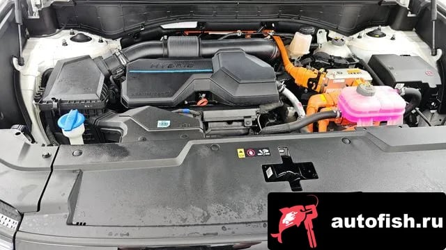 Hyundai Santafe San Tafe (MX5) 2024 года - вид 6