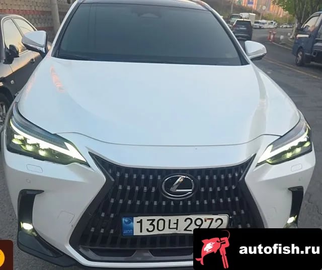 Lexus NX NX350h Second generation 2023 года - вид 1