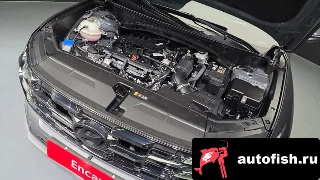 Hyundai Tucson The New Tucson (NX4) 2024 года - вид 6