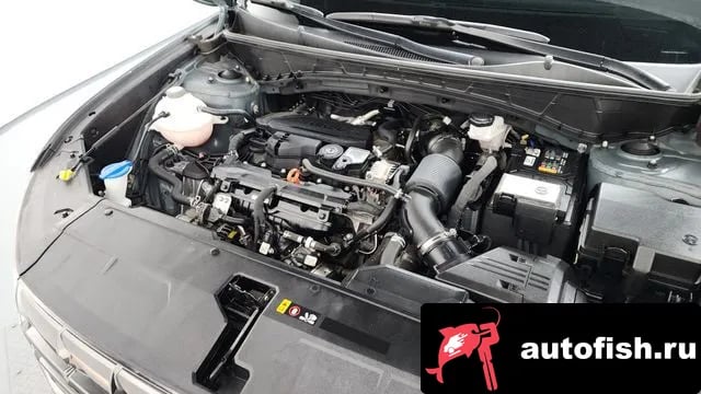 Hyundai Tucson Tucson (NX4) 2021 года - вид 6