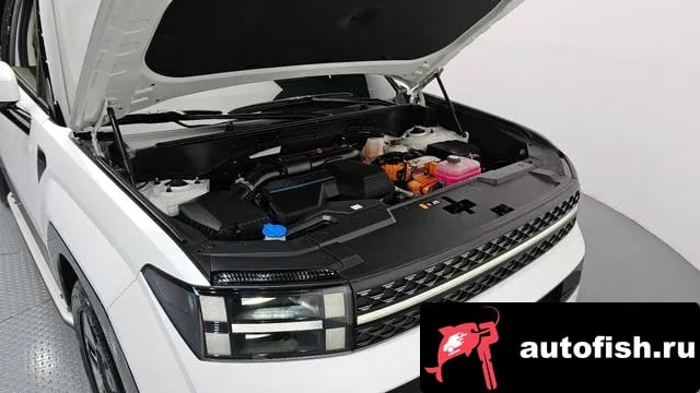 Hyundai Santafe San Tafe (MX5) 2024 года - вид 6