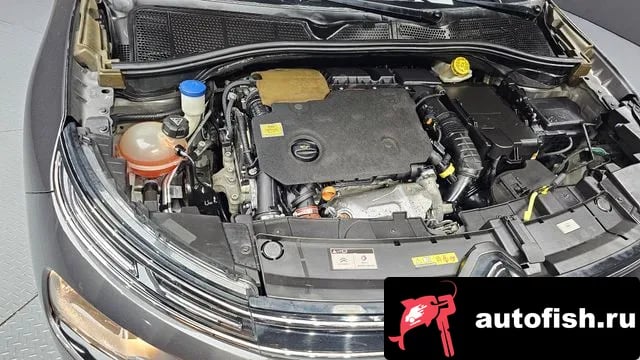 Citroen-DS C4 CACTUS C4 Cactus 2019 года - вид 6