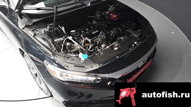 Honda Accord Accord 10th Generation 2019 года - вид 6
