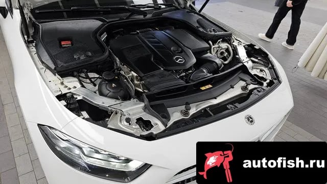 Mercedes-Benz CLS-Class CLS-Class C257 2020 года - вид 6