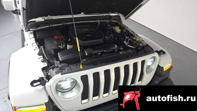 Jeep Wrangler Wrangler (JL) 2020 года - вид 6