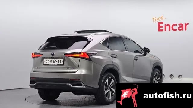 Lexus NX NX300h 2018 года - вид 2