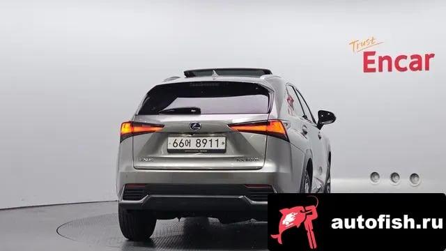 Lexus NX NX300h 2018 года - вид 4