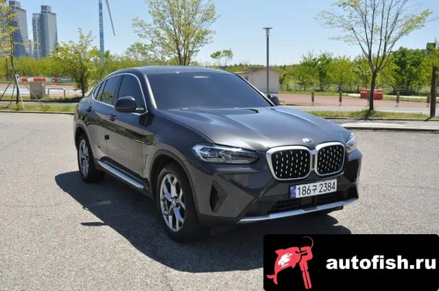 BMW X4 X4 (G02) 2023 года - вид 1
