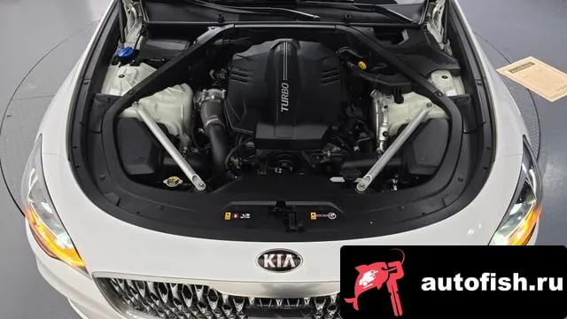 Kia K9 More K9 2020 года - вид 6