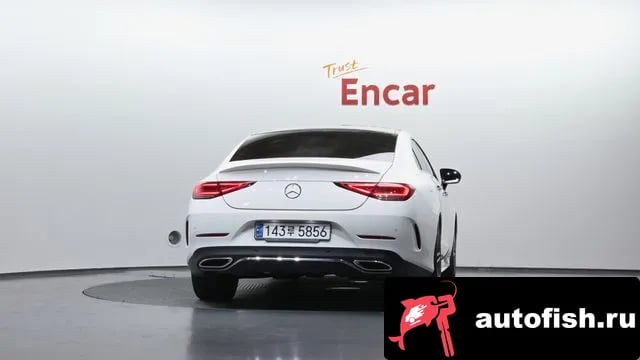 Mercedes-Benz CLS-Class CLS-Class C257 2019 года - вид 4