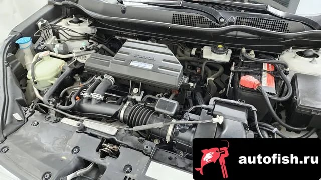 Honda CR-V CR-V 5th generation 2019 года - вид 6
