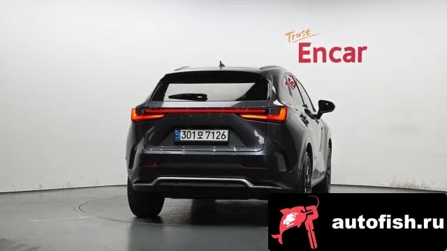 Lexus NX NX450h + 2nd generation 2022 года - вид 4