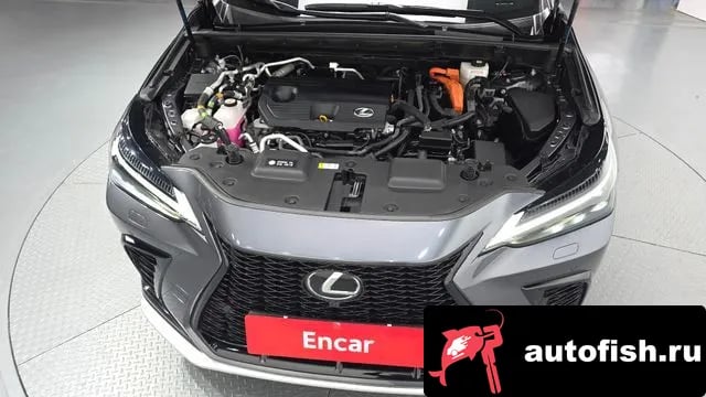 Lexus NX NX450h + 2nd generation 2022 года - вид 6