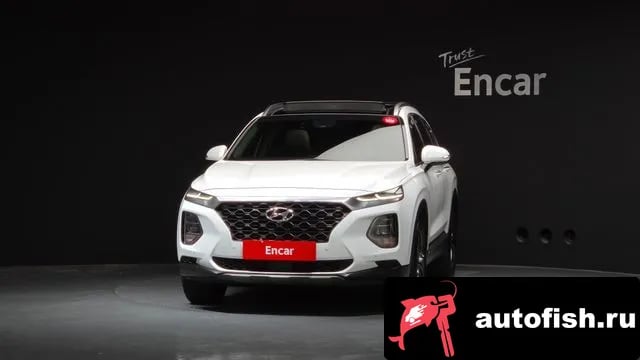 Hyundai Santafe San Tafe TM 2019 года - вид 3