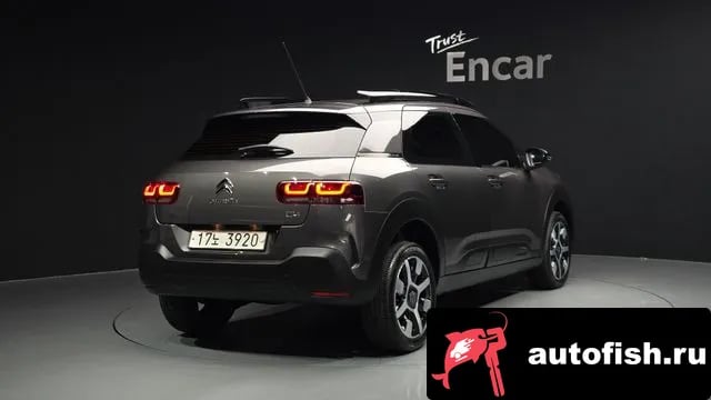 Citroen-DS C4 CACTUS C4 Cactus 2018 года - вид 2