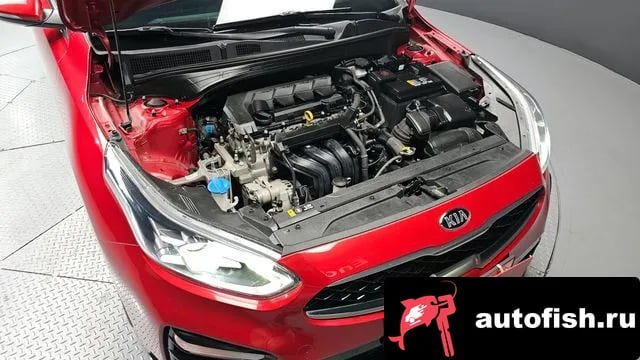 Kia K3 Come New K3 2019 года - вид 6