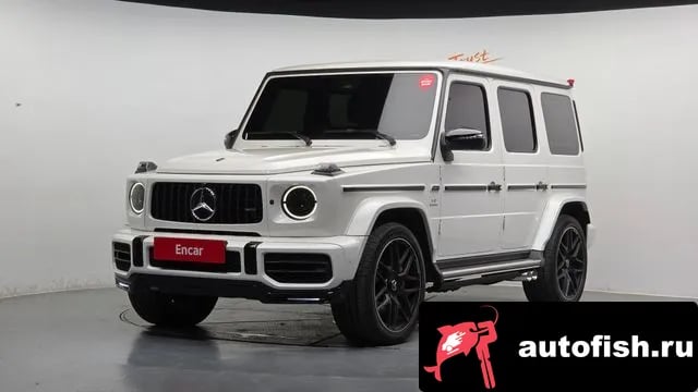 Mercedes-Benz G-Class G-Class W463b 2020 года - вид 1
