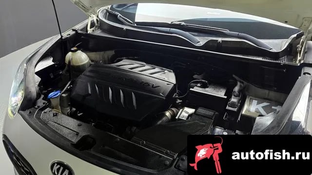Kia Sportage Sportage The Bold 2019 года - похожие автомобили