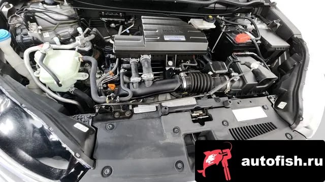 Honda CR-V CR-V 5th generation 2019 года - вид 6