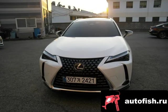 Lexus UX UX300h 2024 года - вид 3
