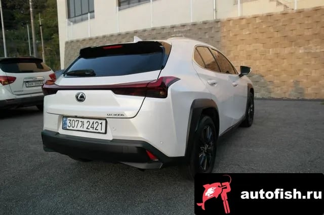Lexus UX UX300h 2024 года - вид 4