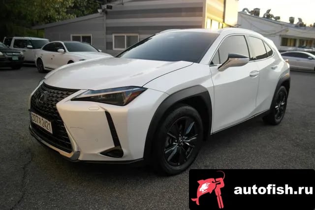 Lexus UX UX300h 2024 года - вид 5
