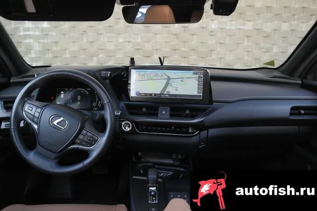 Lexus UX UX300h 2024 года - вид 6