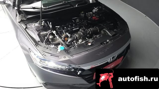 Honda Accord Accord 10th Generation 2019 года - вид 6