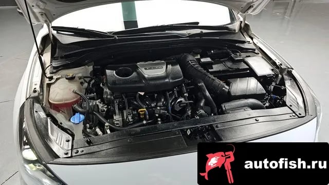 Hyundai i30 i30 (PD) 2019 года - вид 6