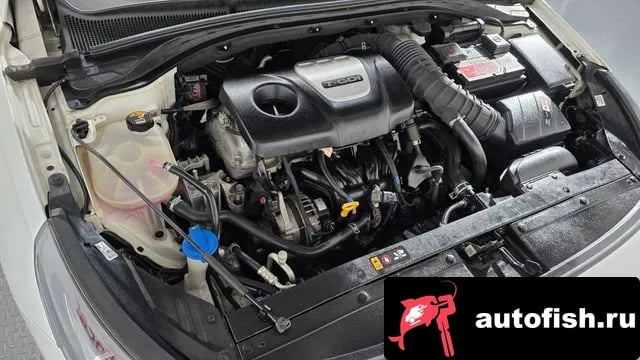 Hyundai i30 i30 (PD) 2019 года - вид 5