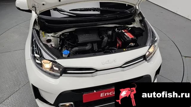 Kia morning Morning Urban (JA) 2022 года - вид 6