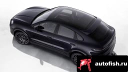 Миниатюра 6