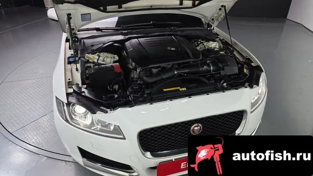 Jaguar XF XF (X260) 2018 года - вид 6