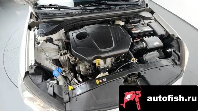 Hyundai AVANTE Avante AD 2018 года - вид 6