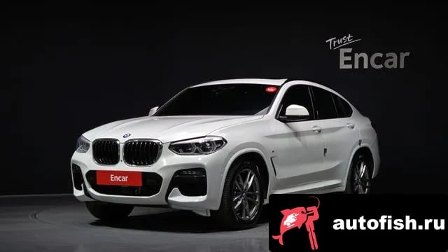 BMW X4 X4 (G02) 2019 года - вид 1