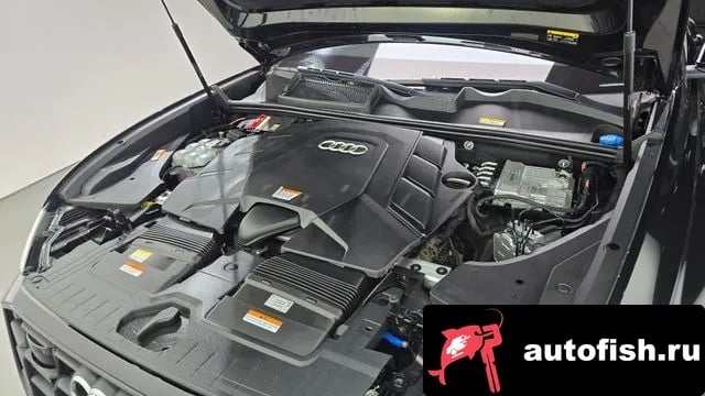 Audi Q8 Q8 (4M) 2023 года - вид 6