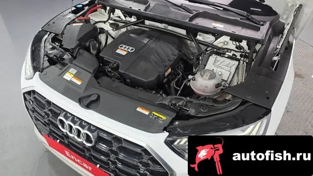 Audi Q5 Q5 (FY) 2023 года - вид 6
