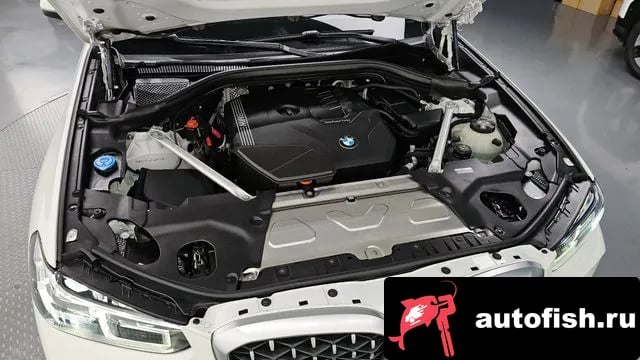 BMW X4 X4 (G02) 2025 года - вид 5