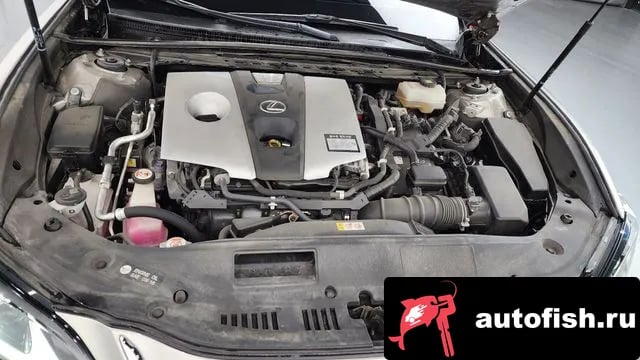 Lexus ES ES300h 7th generation 2019 года - похожие автомобили