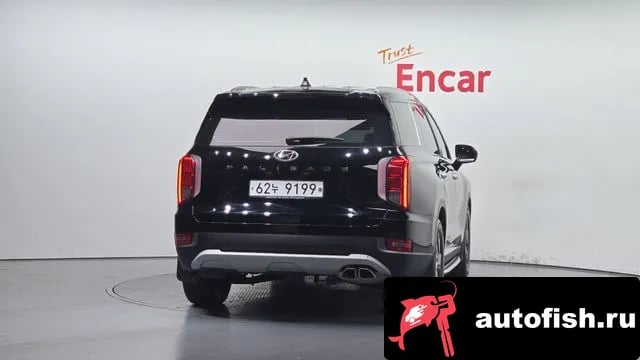 Hyundai Palisade Palisade 2019 года - вид 4