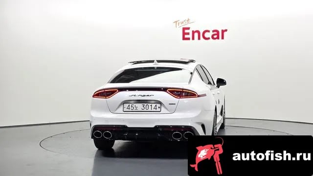 Kia Stinger Stinger 2019 года - вид 4
