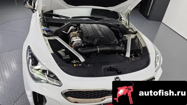 Kia Stinger Stinger 2019 года - вид 6