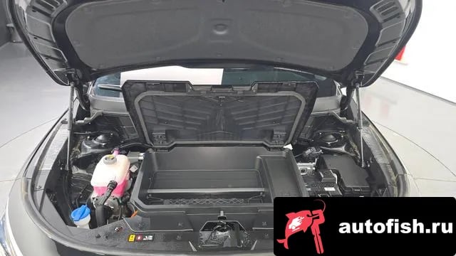 Kia Niro Di All New Niro EV 2023 года - вид 6