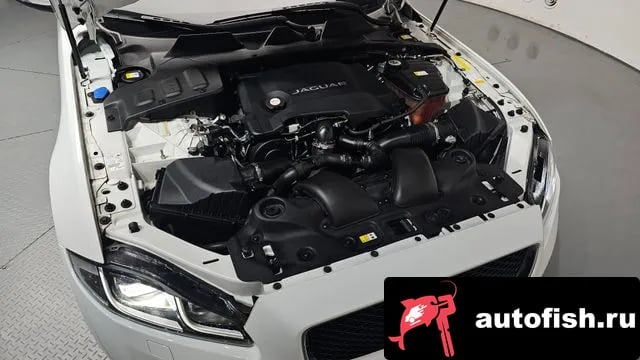 Jaguar XJ All New XJ 2019 года - вид 5