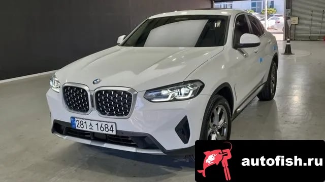 BMW X4 X4 (G02) 2023 года - вид 1