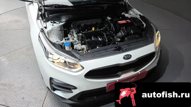 Kia K3 Come New K3 2019 года - вид 6