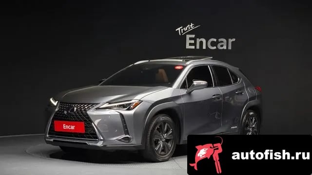 Lexus UX UX250h 2019 года - вид 1